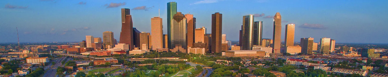 Banner image